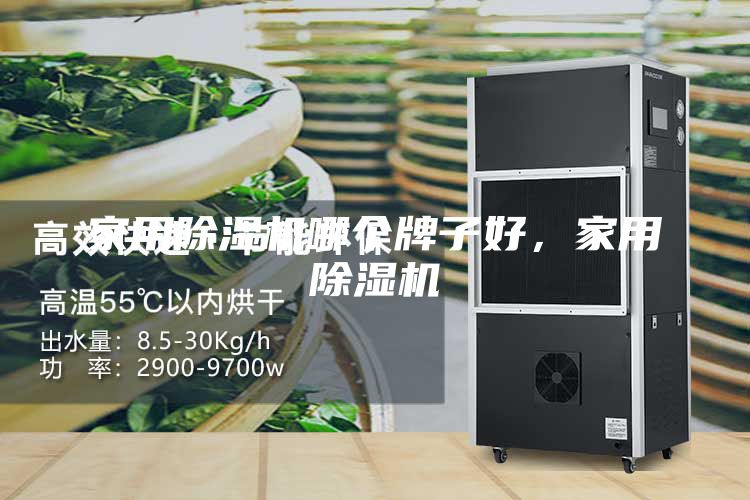 家用除湿机哪个牌子好，家用除湿机