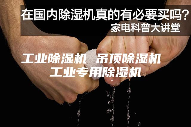 工业除湿机 吊顶除湿机 工业专用除湿机