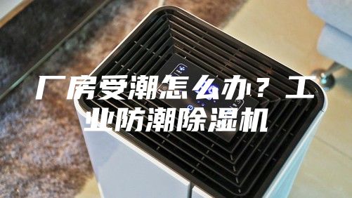 厂房受潮怎么办？工业防潮除湿机