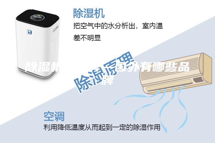 除湿机的品牌—国外有哪些品牌