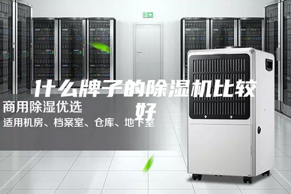 什么牌子的除湿机比较好