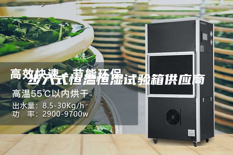 步入式恒温恒湿试验箱供应商