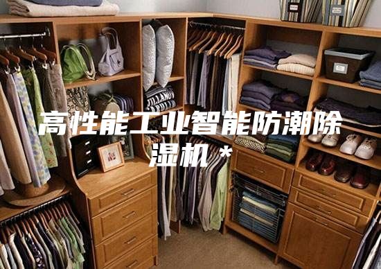 高性能工业智能防潮除湿机＊