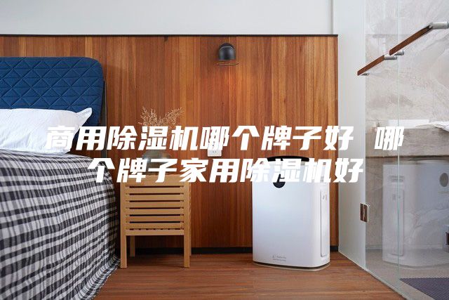 商用除湿机哪个牌子好 哪个牌子家用除湿机好
