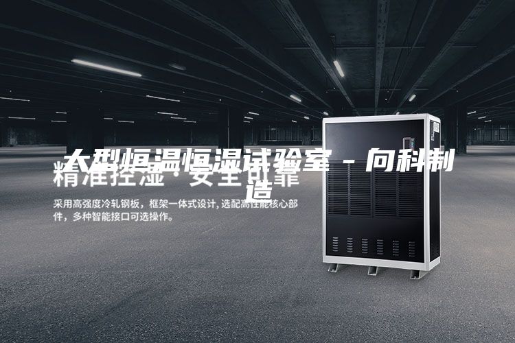 大型恒温恒湿试验室－向科制造