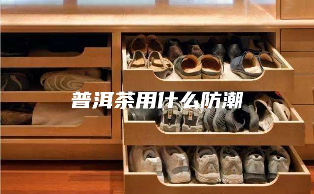 普洱茶用什么防潮