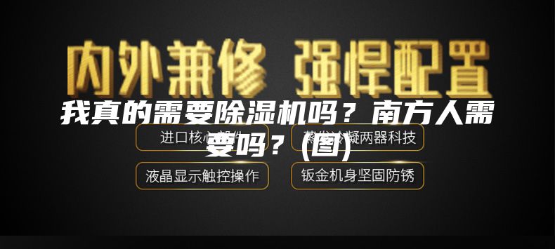 我真的需要除湿机吗？南方人需要吗？(图)