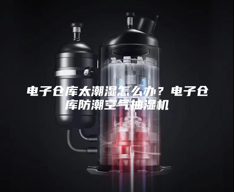 电子仓库太潮湿怎么办？电子仓库防潮空气抽湿机