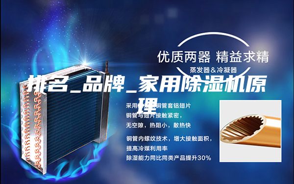 排名_品牌_家用除湿机原理