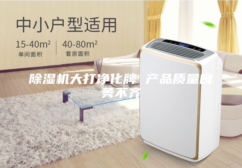 除湿机大打净化牌 产品质量良莠不齐