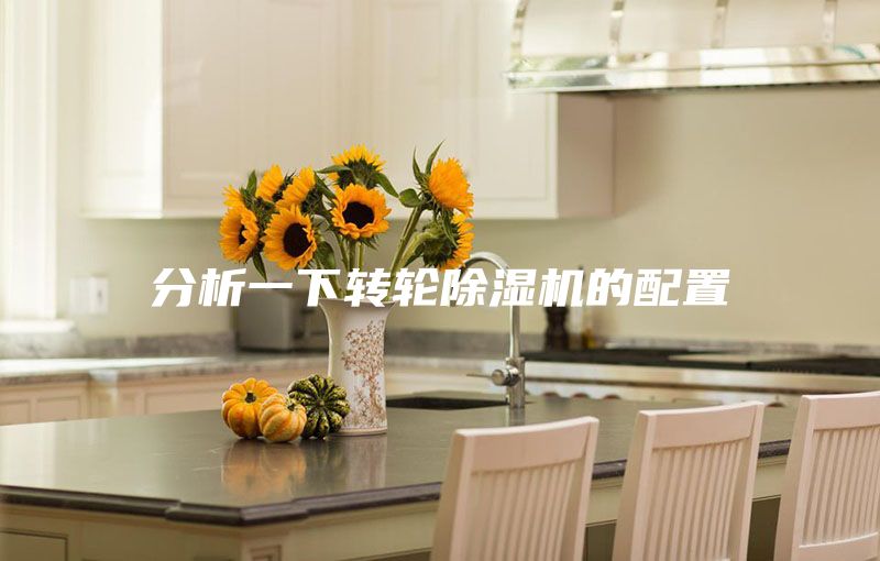 分析一下转轮除湿机的配置