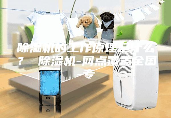 除湿机的工作原理是什么？ 除湿机-网点覆盖全国-专