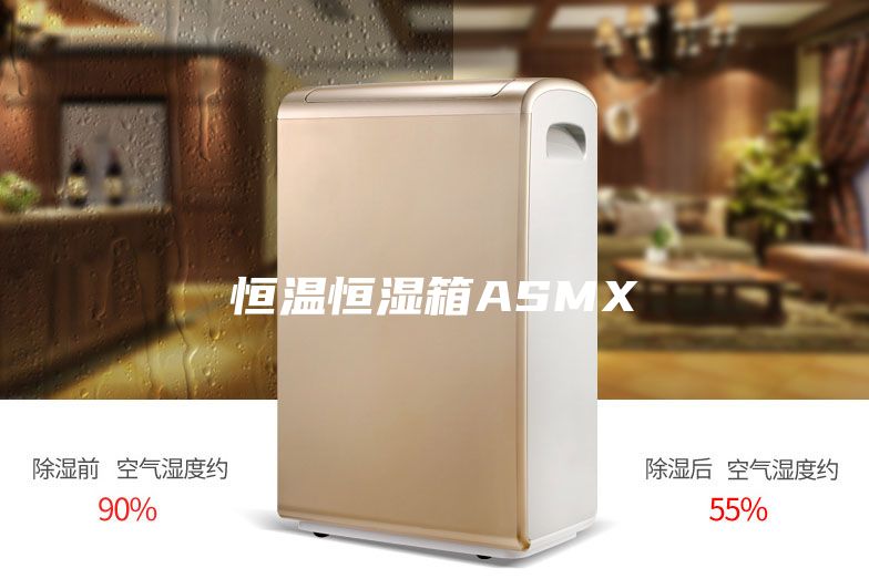 恒温恒湿箱ASMX