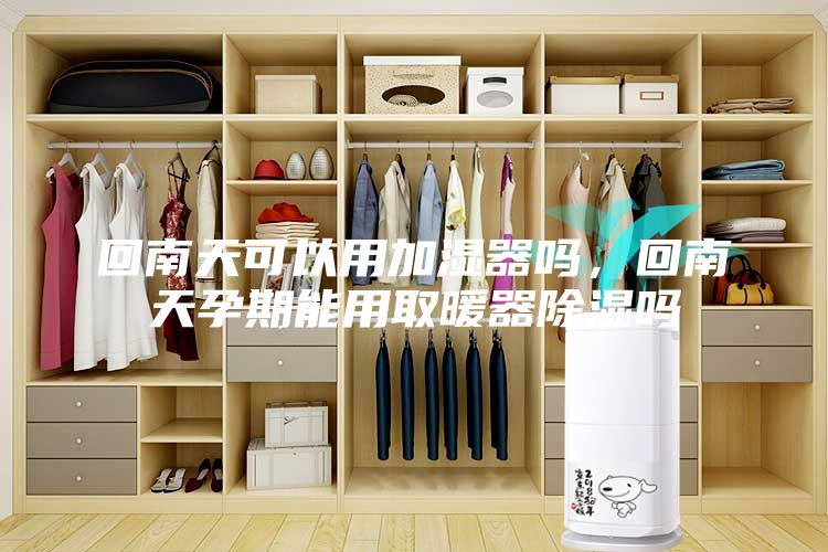 回南天可以用加湿器吗，回南天孕期能用取暖器除湿吗