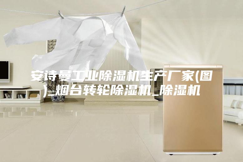 安诗曼工业除湿机生产厂家(图)_烟台转轮除湿机_除湿机