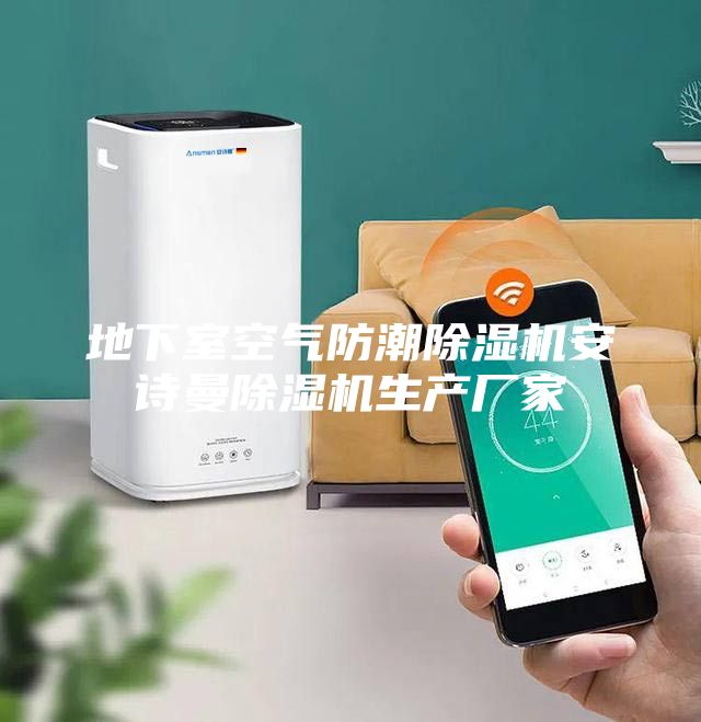 地下室空气防潮除湿机安诗曼除湿机生产厂家
