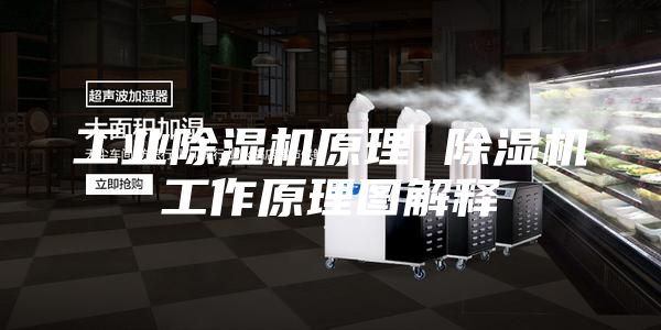 工业除湿机原理 除湿机工作原理图解释