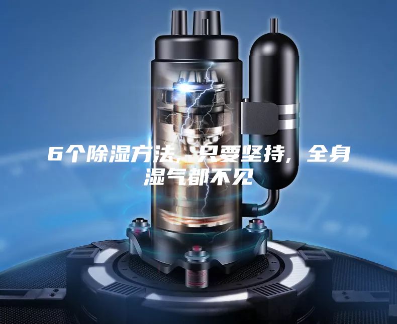 6个除湿方法, 只要坚持, 全身湿气都不见