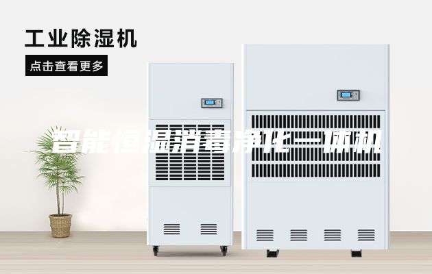 智能恒湿消毒净化一体机
