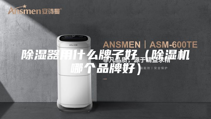 除湿器用什么牌子好（除湿机哪个品牌好）