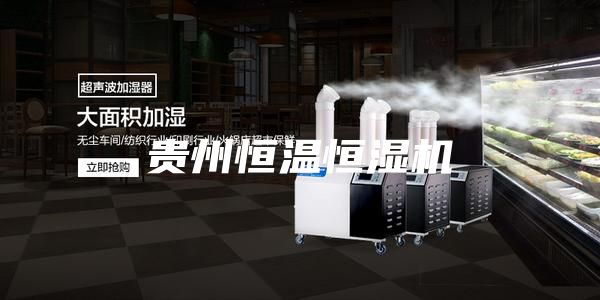 贵州恒温恒湿机