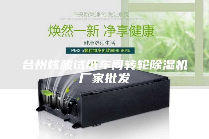 台州核酸试纸车间转轮除湿机厂家批发