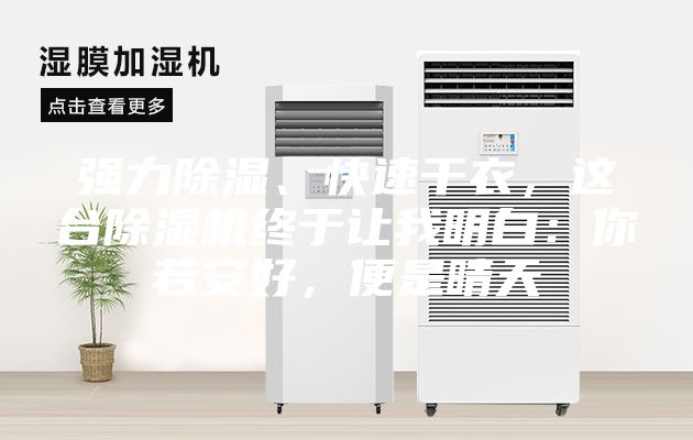强力除湿、快速干衣，这台除湿机终于让我明白：你若安好，便是晴天