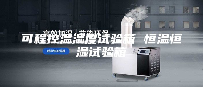 可程控温湿度试验箱 恒温恒湿试验箱