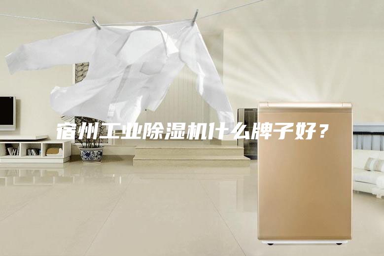 宿州工业除湿机什么牌子好？