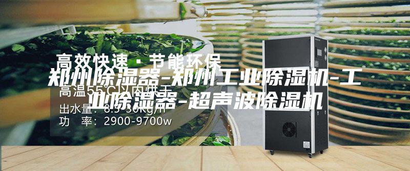 郑州除湿器-郑州工业除湿机-工业除湿器-超声波除湿机