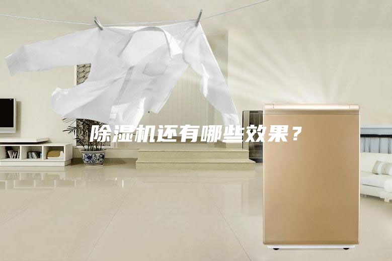 除湿机还有哪些效果？