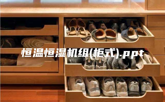 恒温恒湿机组(柜式).ppt