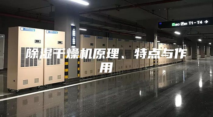 除湿干燥机原理、特点与作用