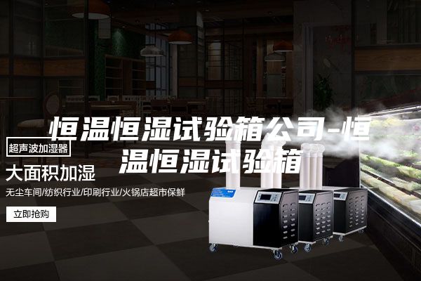 恒温恒湿试验箱公司-恒温恒湿试验箱