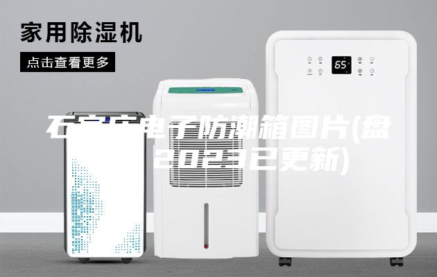 石家庄电子防潮箱图片(盘点：2023已更新)
