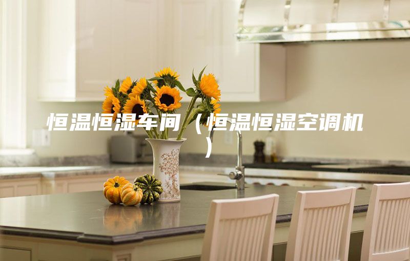 恒温恒湿车间（恒温恒湿空调机）