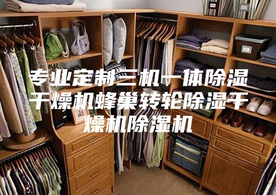 专业定制三机一体除湿干燥机蜂巢转轮除湿干燥机除湿机