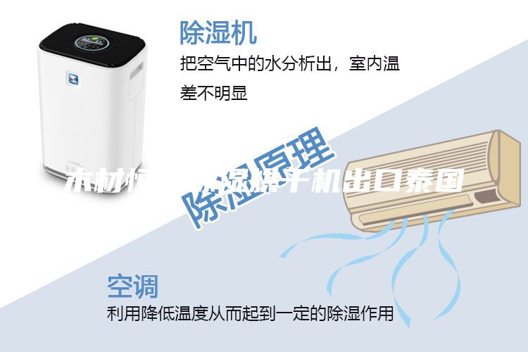 木材恒温除湿烘干机出口泰国