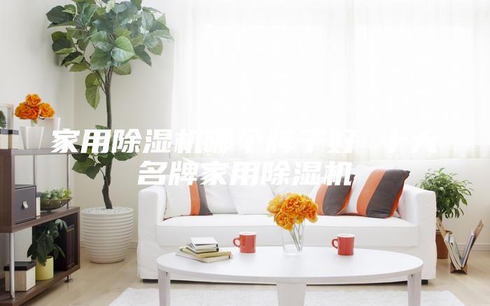 家用除湿机哪个牌子好 十大名牌家用除湿机