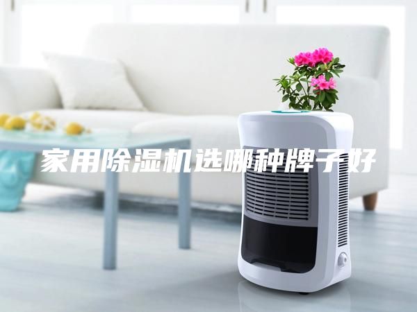 家用除湿机选哪种牌子好