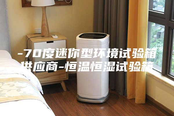 -70度迷你型环境试验箱供应商-恒温恒湿试验箱