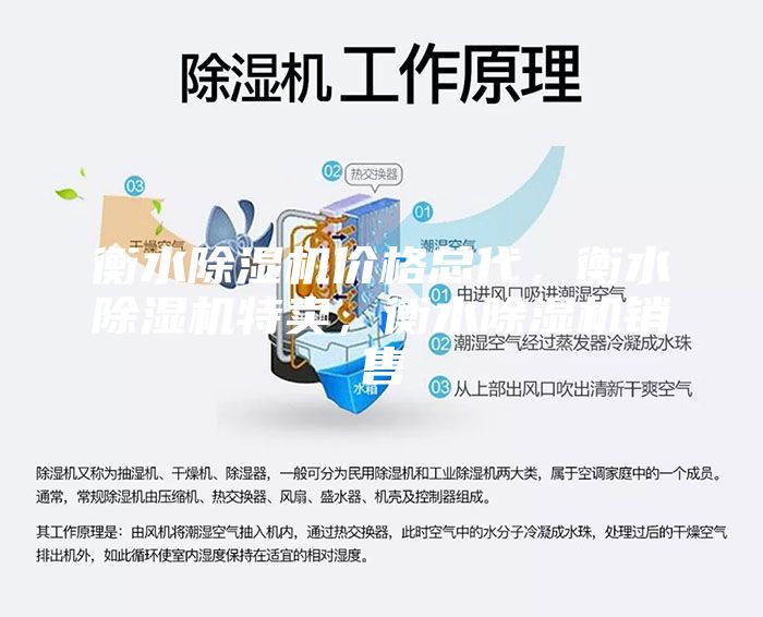 衡水除湿机价格总代，衡水除湿机特卖，衡水除湿机销售