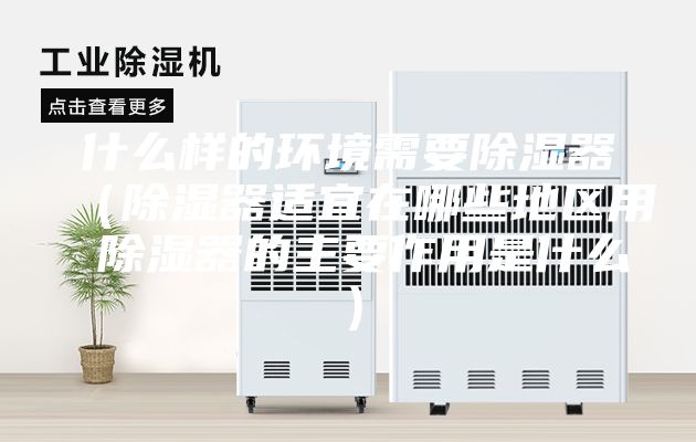 什么样的环境需要除湿器（除湿器适宜在哪些地区用 除湿器的主要作用是什么）