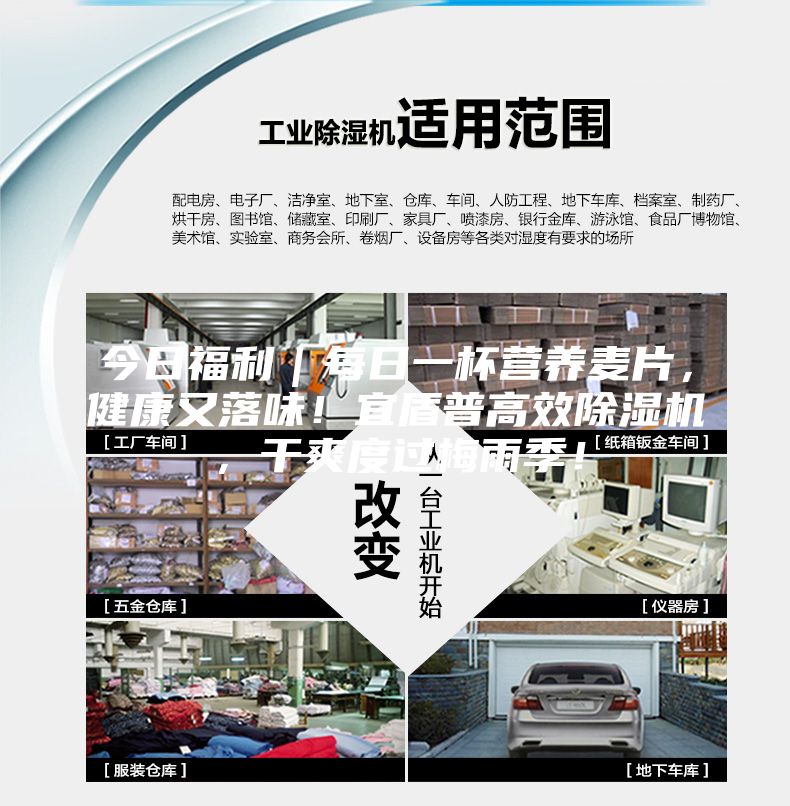 今日福利｜每日一杯营养麦片，健康又落味！宜盾普高效除湿机，干爽度过梅雨季！
