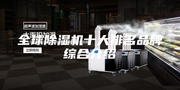 全球除湿机十大排名品牌综合介绍