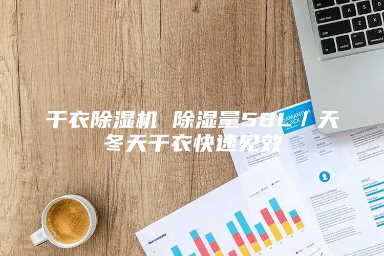 干衣除湿机 除湿量58L／天冬天干衣快速见效