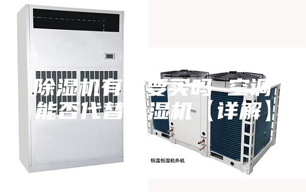 除湿机有必要买吗 空调能否代替除湿机【详解】