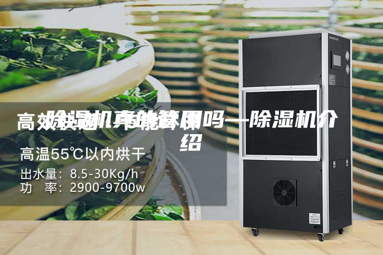 除湿机真的管用吗—除湿机介绍
