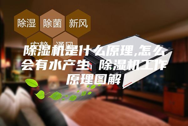 除湿机是什么原理,怎么会有水产生 除湿机工作原理图解