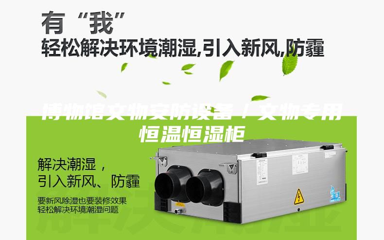 博物馆文物安防设备／文物专用恒温恒湿柜